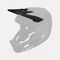 Coalition Spherical Visor