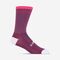 Comp Racer High Rise Sock