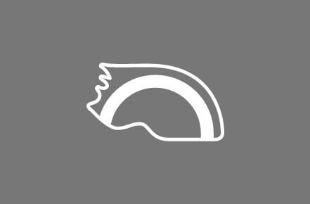 In-Mold Construction In-Mold Construction
