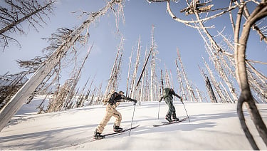 Bryan and Callum cross-country skiing