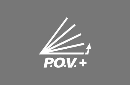 P.O.V. PLUS VISOR.