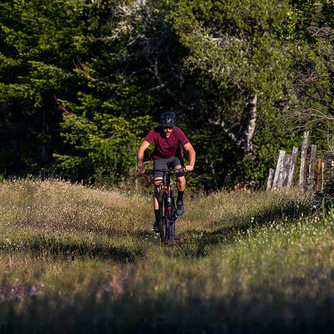 Men's Venture Short II Specs
